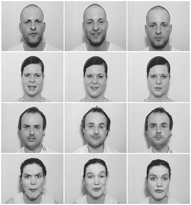 Dynamic Facial Expressions Prime the Processing of Emotional Prosody